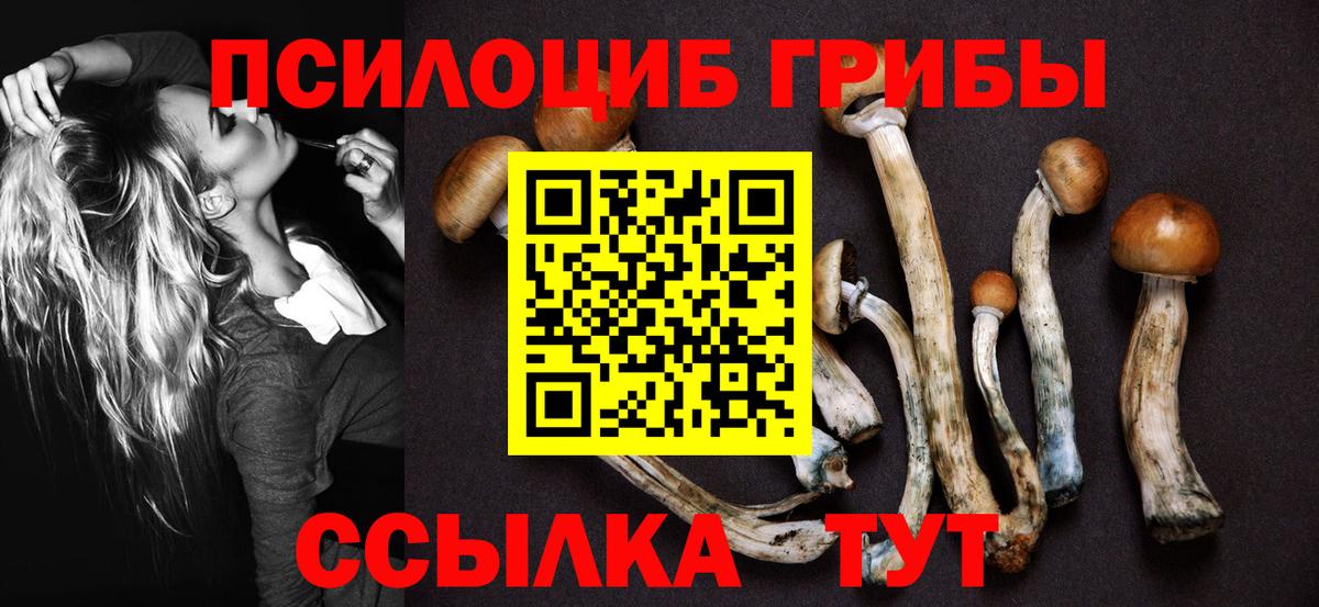 Галлюциногенные грибы мицелий Свободный