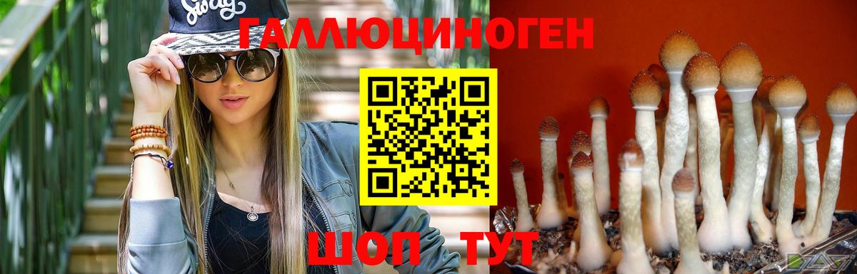 Псилоцибиновые грибы мухоморы  Вход с VPN  купить наркотики цена  Свободный 